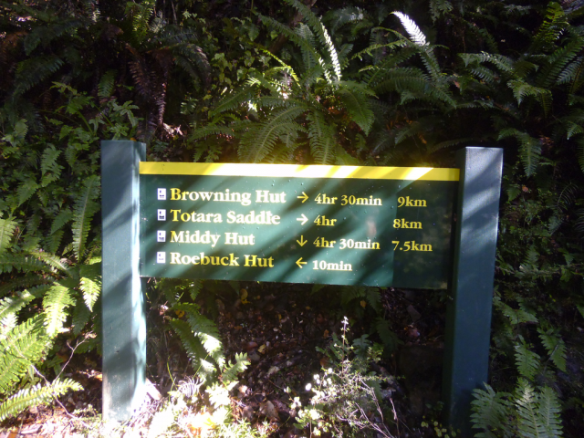 2012-04-28 12.39.29